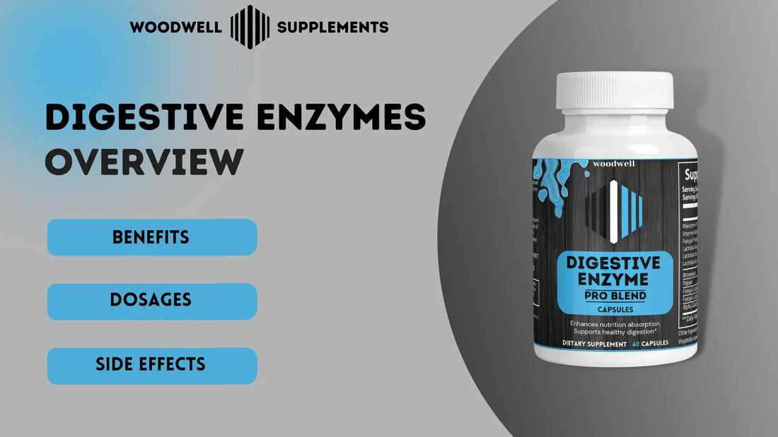 Digestive Enzyme Overview - Woodwell Supplements