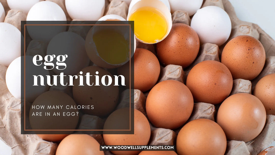 Egg Nutrition Guide Blog Post
